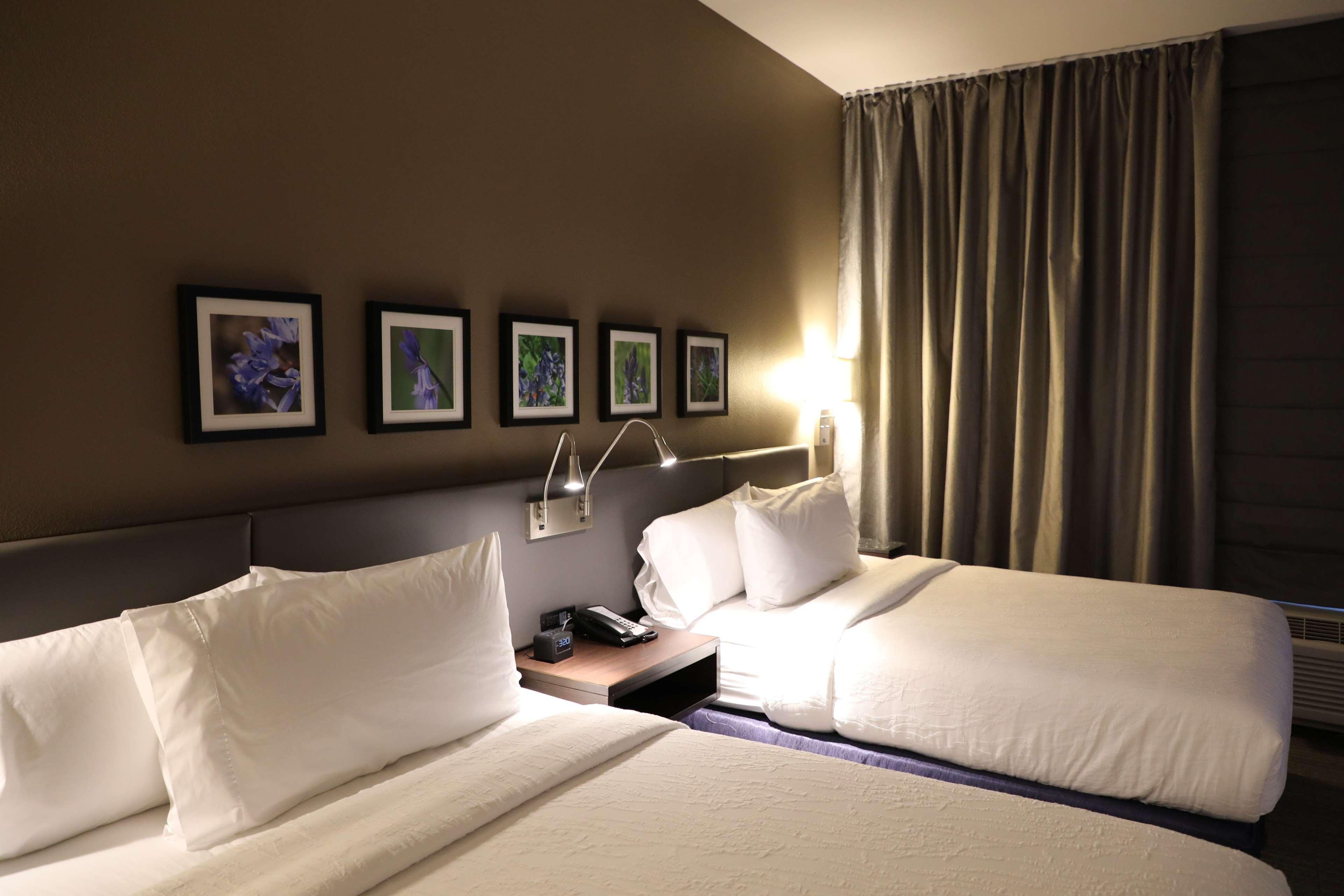 Hilton Garden Inn Austin Airport Εξωτερικό φωτογραφία