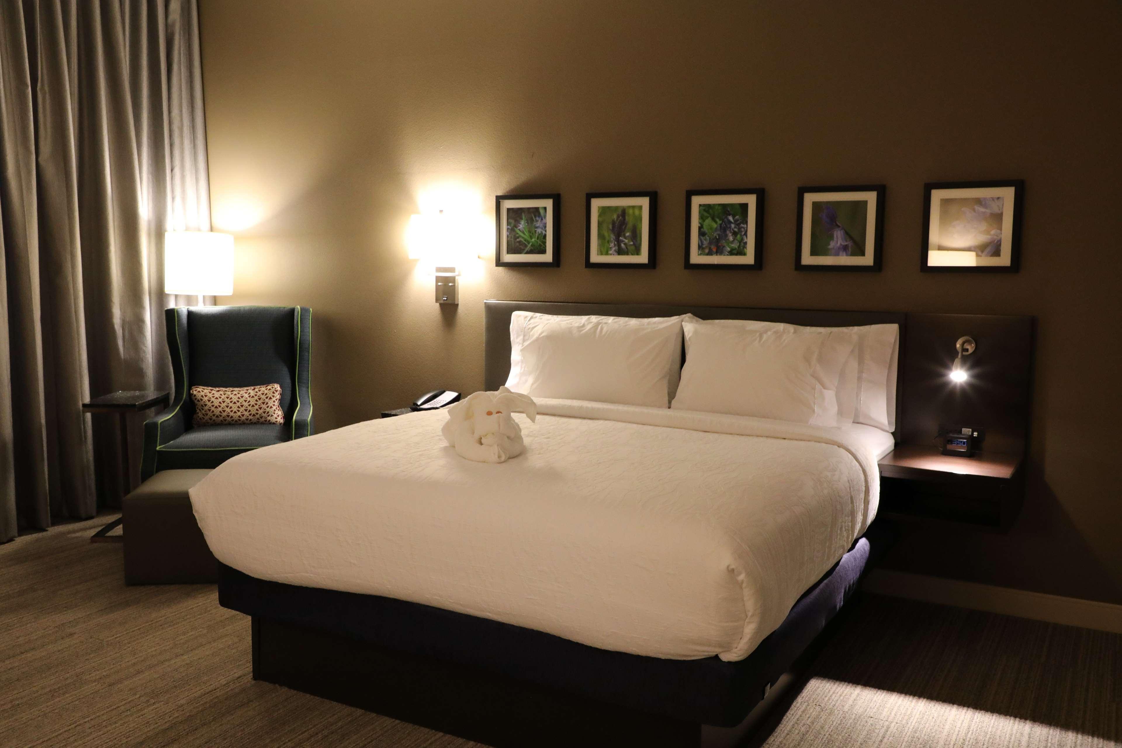 Hilton Garden Inn Austin Airport Εξωτερικό φωτογραφία