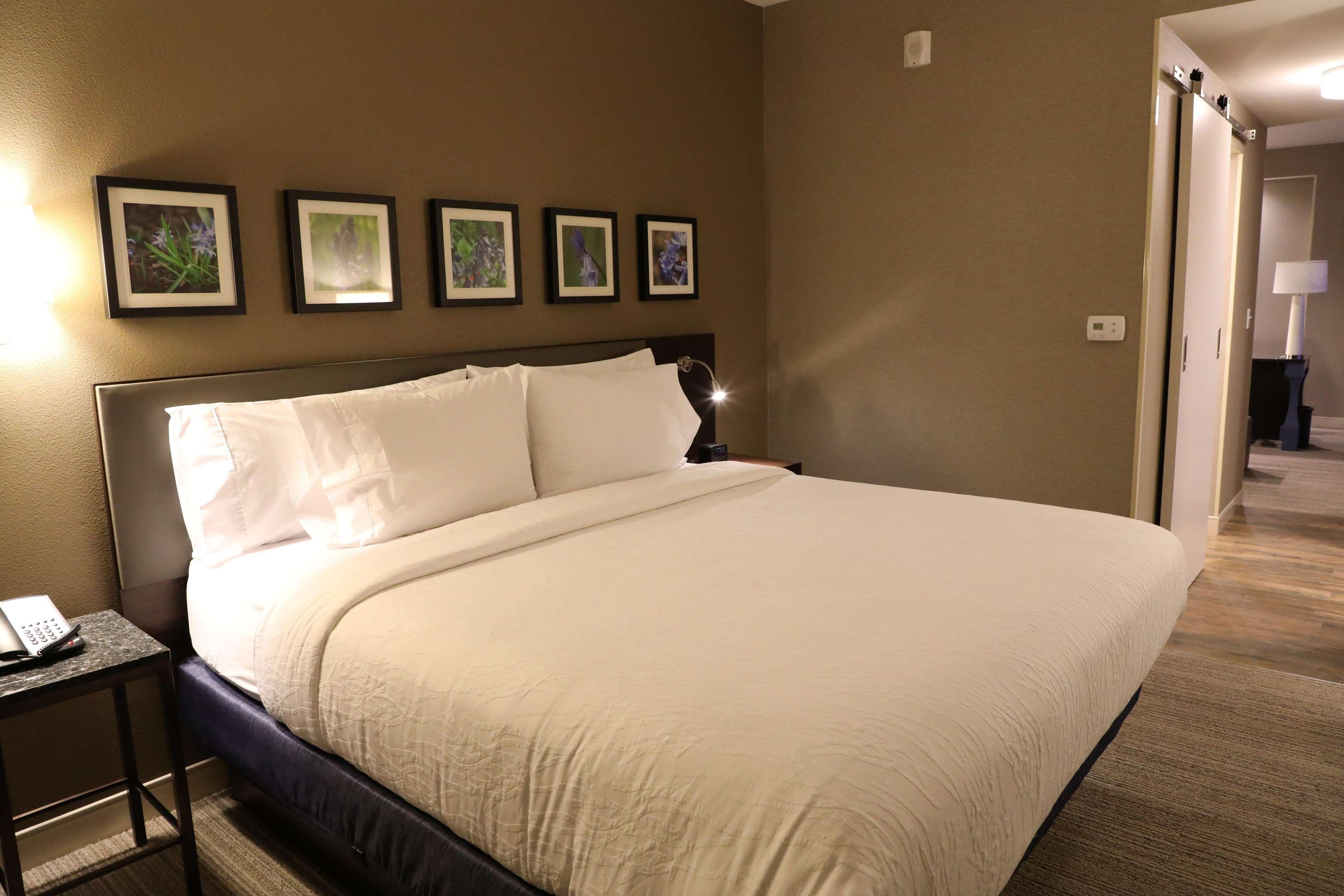 Hilton Garden Inn Austin Airport Εξωτερικό φωτογραφία
